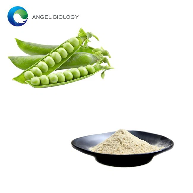 How Much Pea Protein Powder Should I Take Per Day?